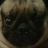 Just_A_Little