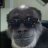 Blackwbape
