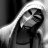 Gerasim_Finch