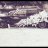 vasya_Kukin
