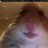 Tony_Olux