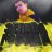 Sergey_Pogodin