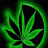Roma_Grif