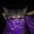 Denis_Ermolov61