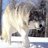 Andrey_Zinchuk
