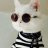 Xasan_Rockstar