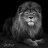 Anatoly_Grossman