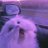 Sereja_Haze