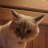 Ilyas_Yuskaev