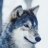 Egor_Torelkin