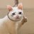 Danil_Platonov12131