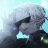 Egor_Soloveev