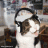 Tom_Nelson