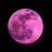Cody_Vinogradov