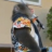 Shurik_BeIkin