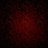 Anton_Evgenievich
