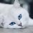 Misha_Malinovskiy