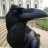 Danil_Vorona