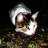 Artem_98i8