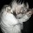 Misha_Kayfman