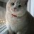 Oliver_Woodnes