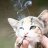 Mark_Belov
