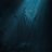 Nikita_Waller
