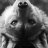 Sanya_Bogachuk