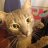 Daniil_Loginow