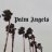 PaIm_Angels