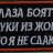 Alexandr_Maestrov