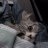 Alexey_Aladinsky
