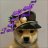 Tim_Ravochkin