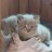 Artur_Gusenov