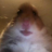 Danil_Gluk