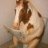 Nur_Magamedov