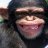 Mason_Onmyneck