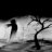 Christopher_Milonov