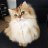 Denis_Adrianov