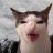 Sebastian_Young