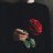 Rainhard_Pomidorov