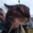 Wilno_Wangrod