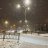 Andrei_Savalyev