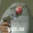 Ilya_Knyazev