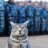 Vitaliy_Makedonskiy