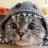 Kirill_Huff1