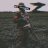 Alexandr_Foxov