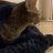 Matvey_Gusaev