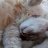 Egor_Collaps