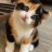 Ilia_Gurin